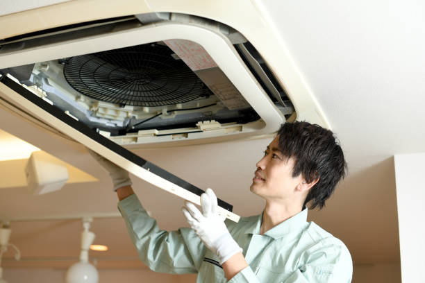 Best Local Air Duct Cleaning Services  in Csar Chvez, TX